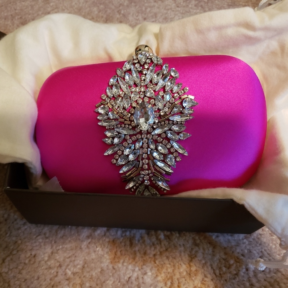 Badgley mischka evening bag